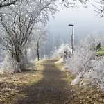 Panoramablick 19 - Im Harz *